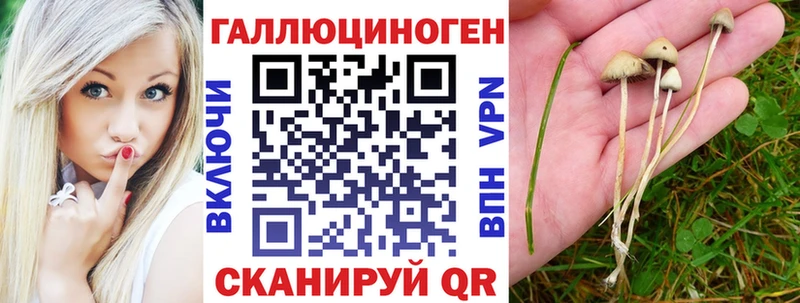 Псилоцибиновые грибы Psilocybine cubensis  МЕГА сайт  Олёкминск 